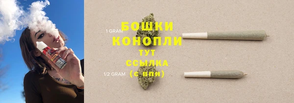 тгк Богородицк