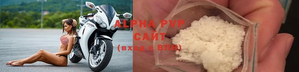 spice Богданович