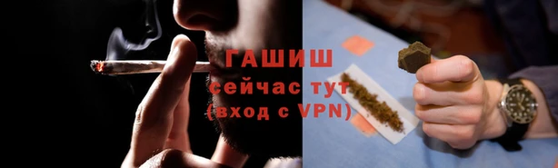 spice Богданович