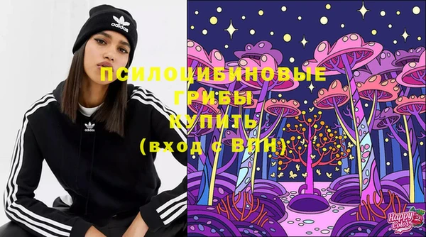 spice Богданович