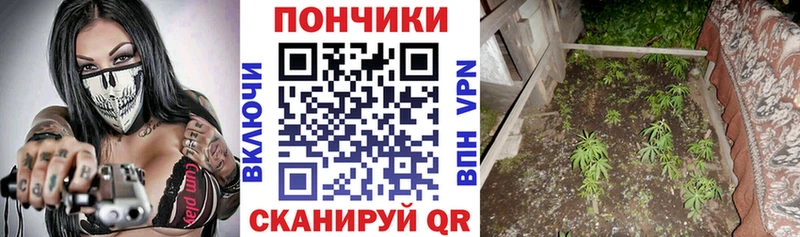 Купить где Ялуторовск Бошки Шишки конопля